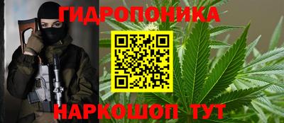 ПСИЛОЦИБИНОВЫЕ ГРИБЫ Вязьма
