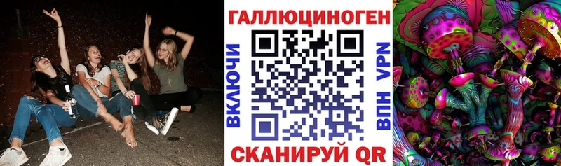 Псилоцибиновые грибы прущие грибы  Шебекино 