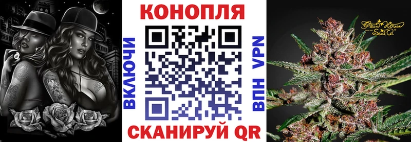 Каннабис OG Kush  ОМГ ОМГ tor  Шебекино 